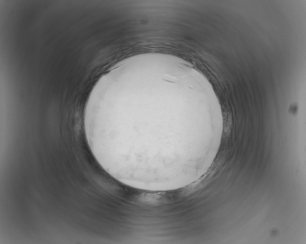 X0000116300086201001111126