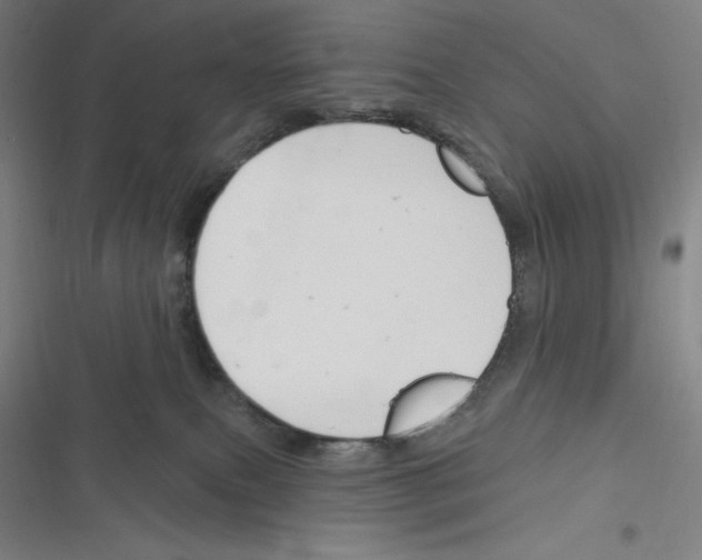 X0000116300087201001111126