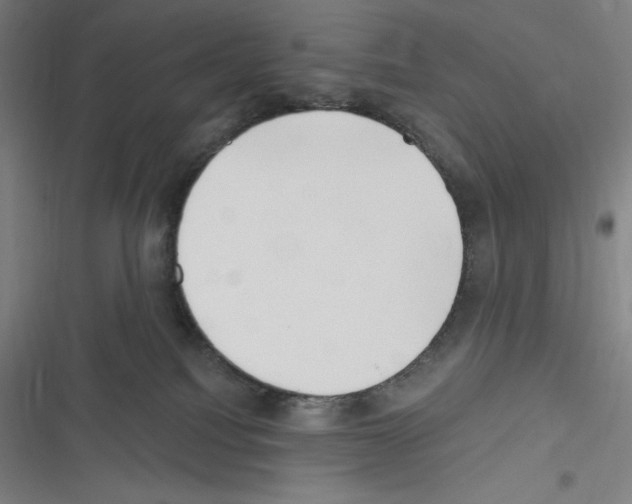 X0000116300088201001111126