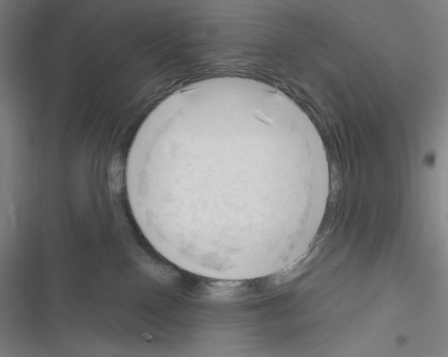 X0000116300090201001111126