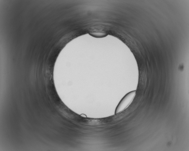 X0000116300091201001111126