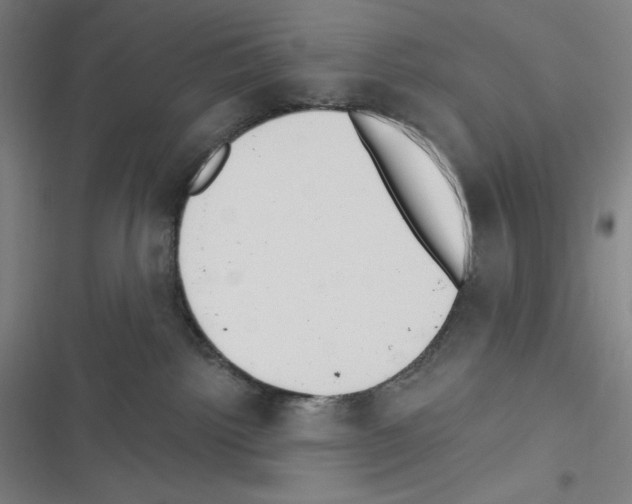 X0000116300092201001111126