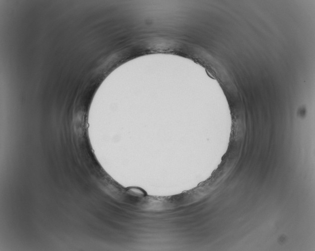 X0000116300093201001111126