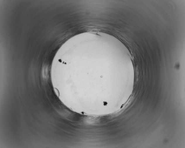 X0000116300094201001111126