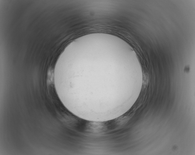 X0000116300095201001111126