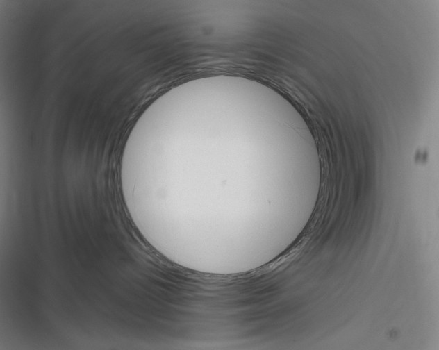 X0000116300096201001111126