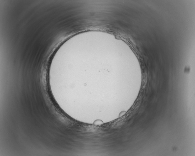 X0000116300098201001111126