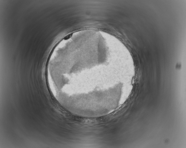 X0000116300099201001111126