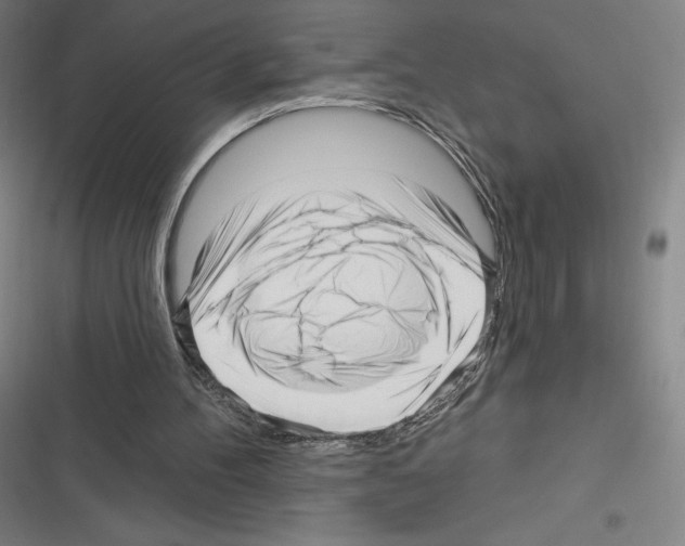 X0000116300100201001111126