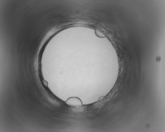 X0000116300102201001111126