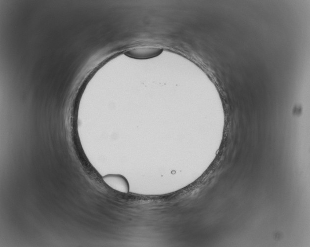 X0000116300103201001111126