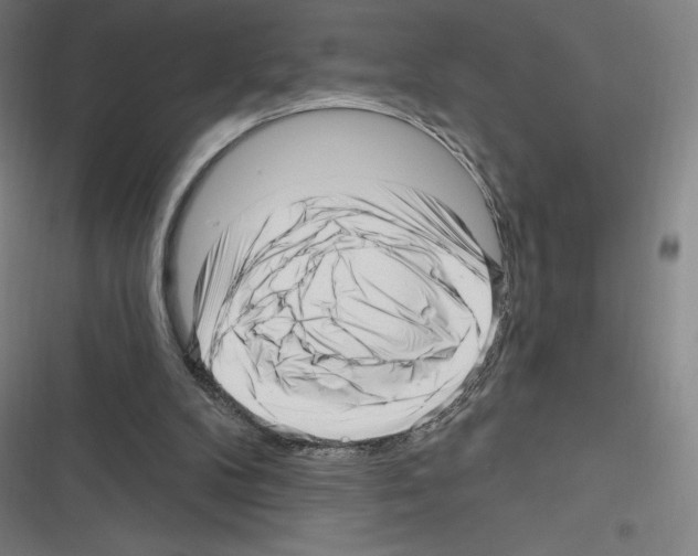 X0000116300104201001111126