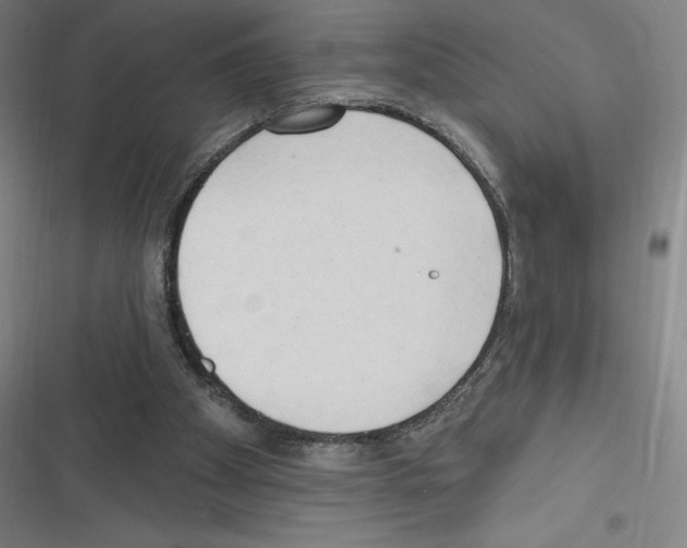 X0000116300105201001111126