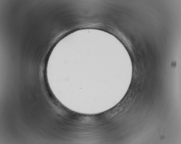 X0000116300107201001111126