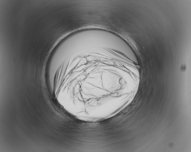 X0000116300108201001111126