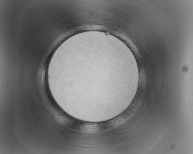 X0000116300110201001111126