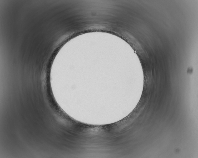 X0000116300112201001111125