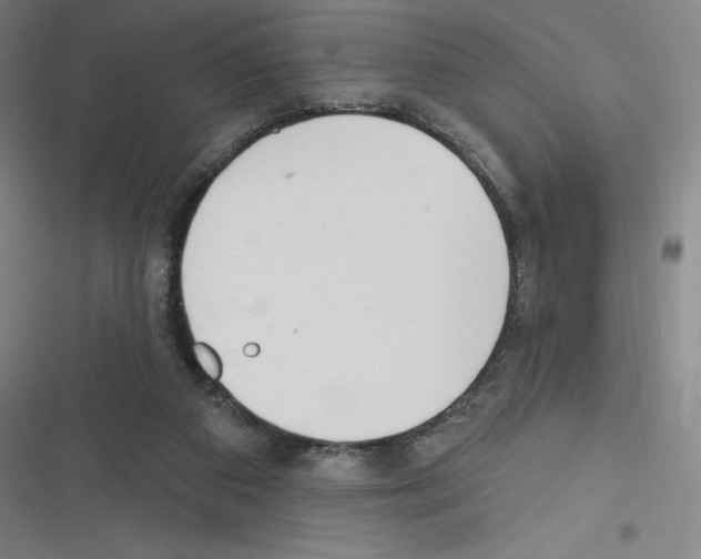 X0000116300113201001111125