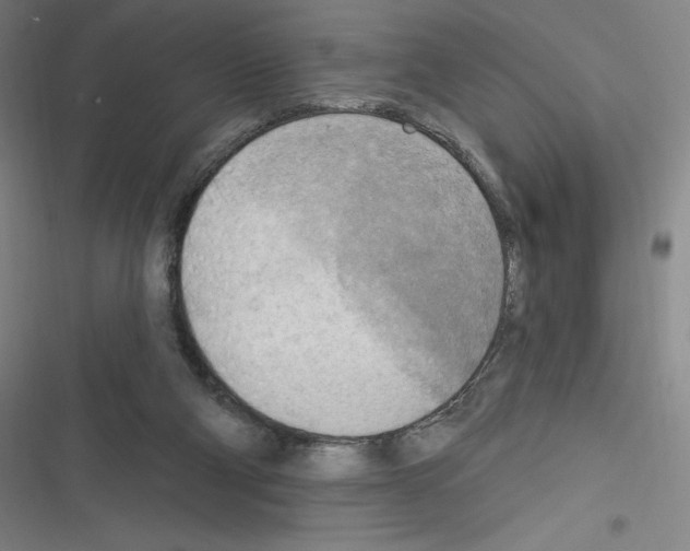 X0000116300114201001111125