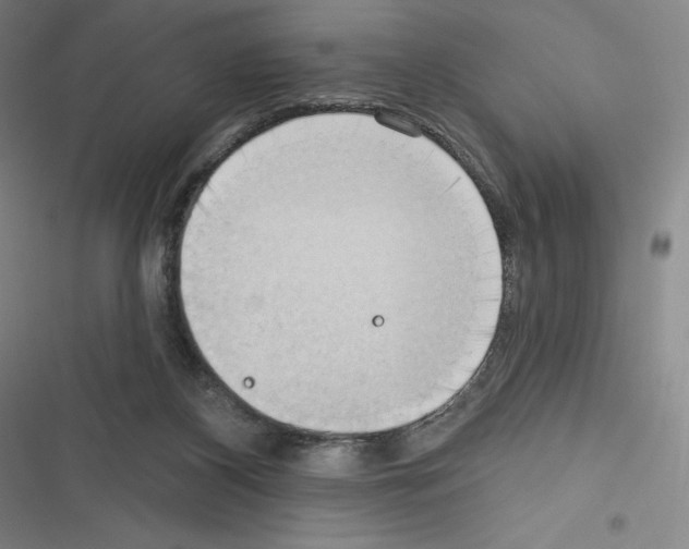 X0000116300116201001111125