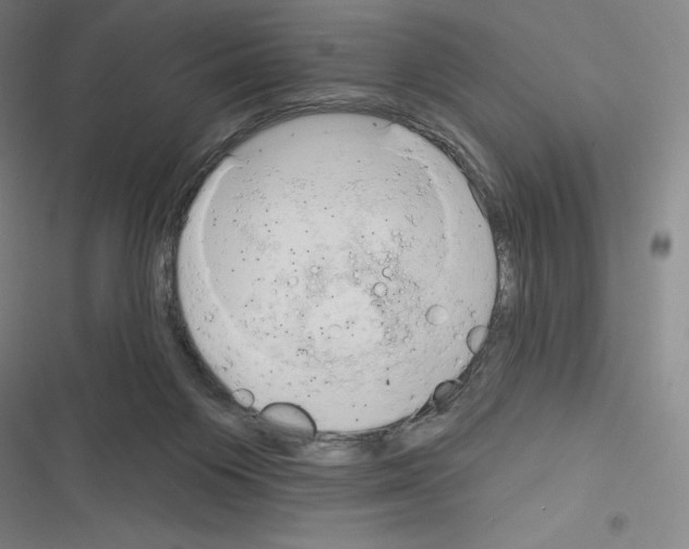 X0000116300119201001111125