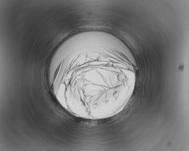 X0000116300120201001111125