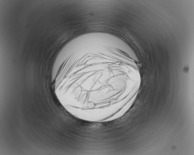 X0000116300124201001111125