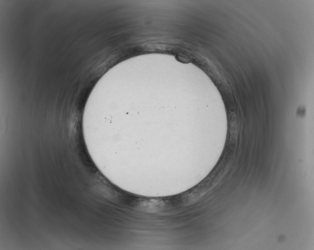 X0000116300125201001111125