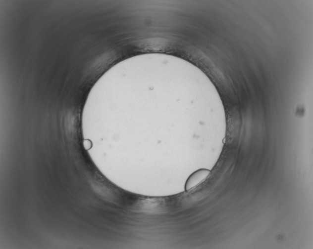 X0000116300126201001111125