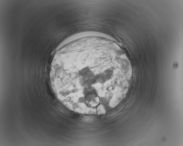 X0000116300127201001111125