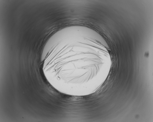 X0000116300128201001111125