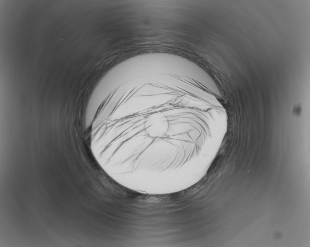 X0000116300129201001111125