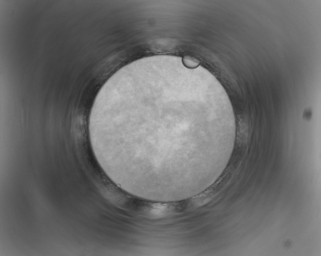 X0000116300130201001111125