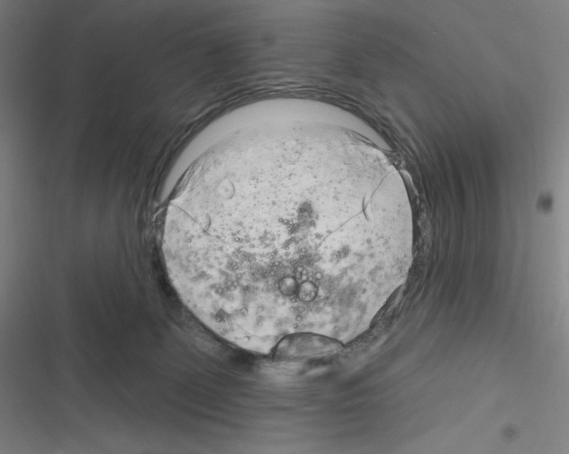 X0000116300131201001111125