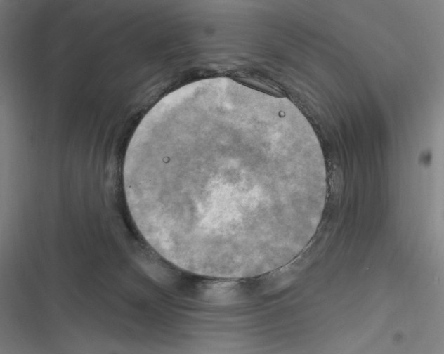 X0000116300132201001111125