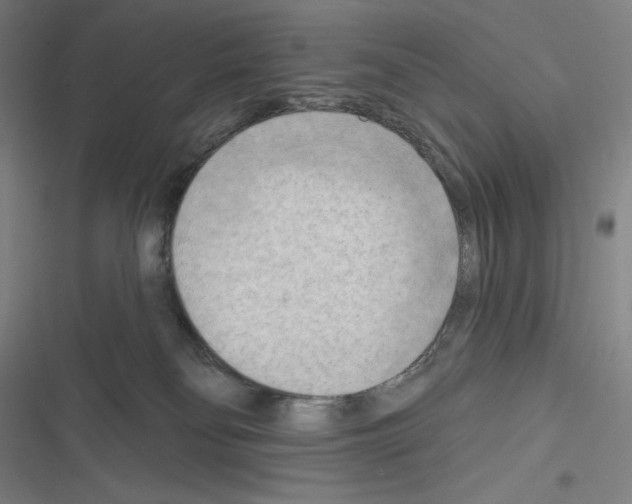 X0000116300134201001111125