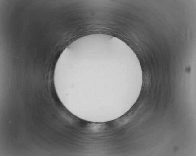 X0000116300135201001111125