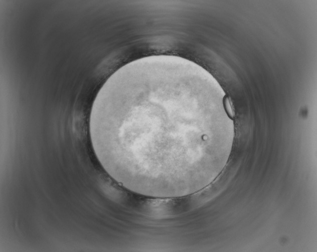 X0000116300136201001111125