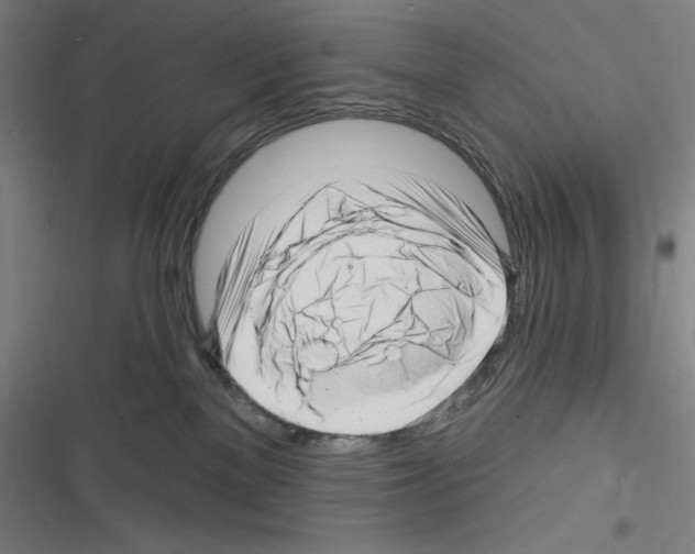 X0000116300137201001111125