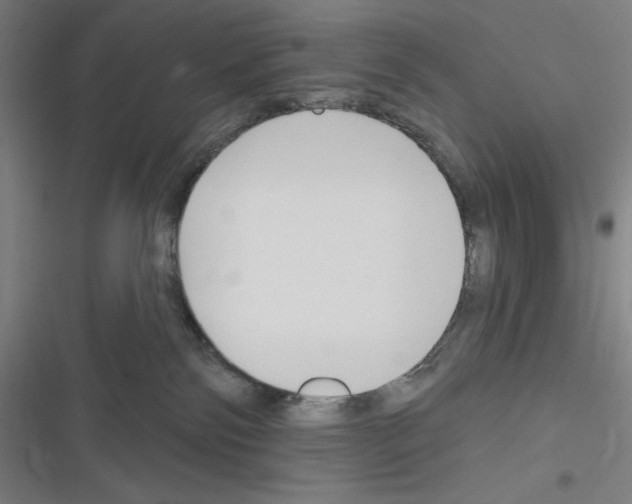 X0000116300138201001111125