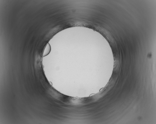 X0000116300142201001111125