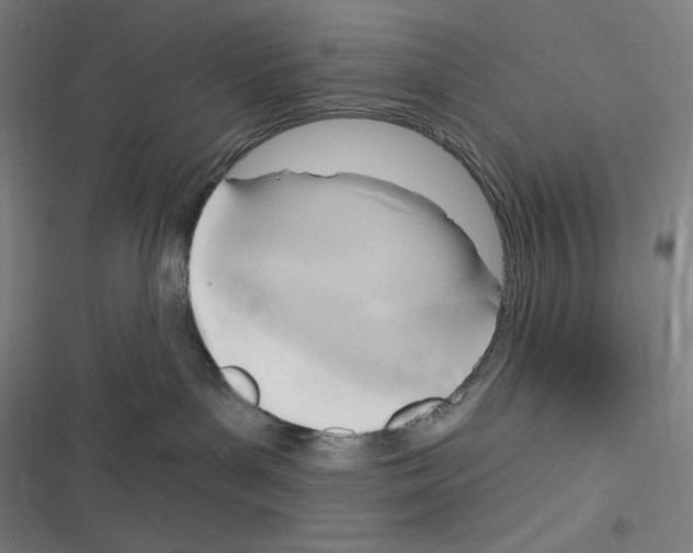 X0000116300143201001111125