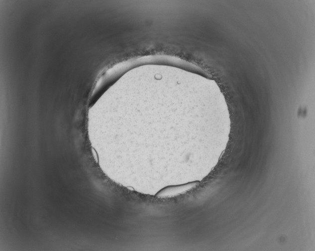 X0000116300144201001111125