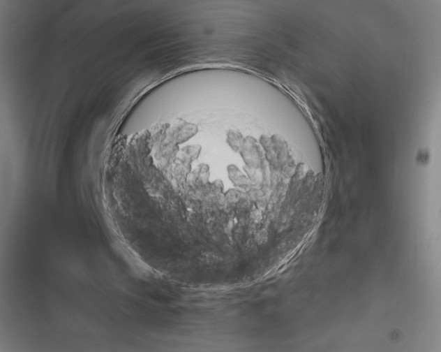 X0000116300145201001111124