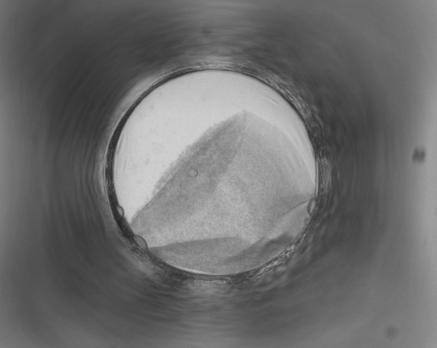 X0000116300147201001111124