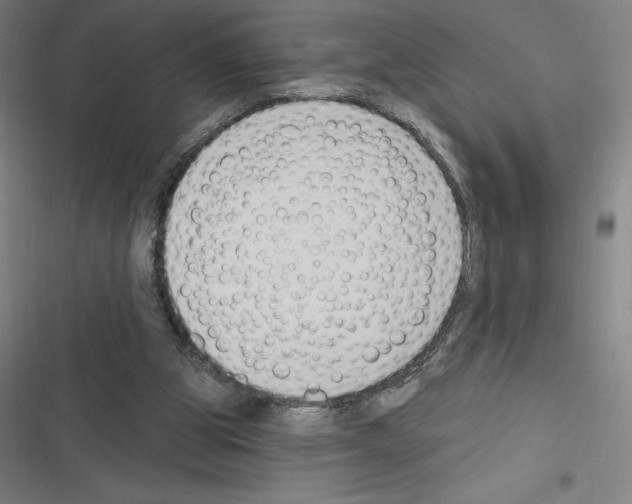 X0000116300153201001111125