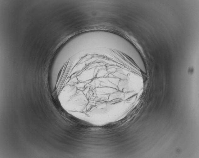 X0000116300154201001111125