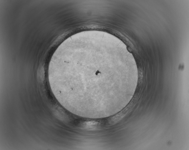 X0000116300158201001111125