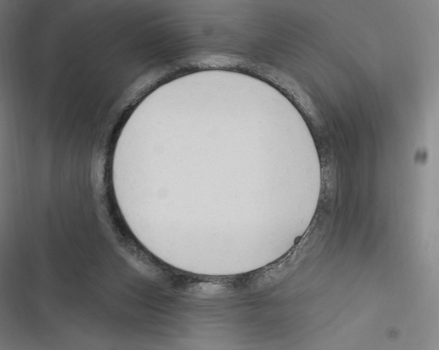 X0000116300159201001111125