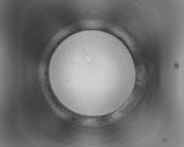 X0000116300162201001111125